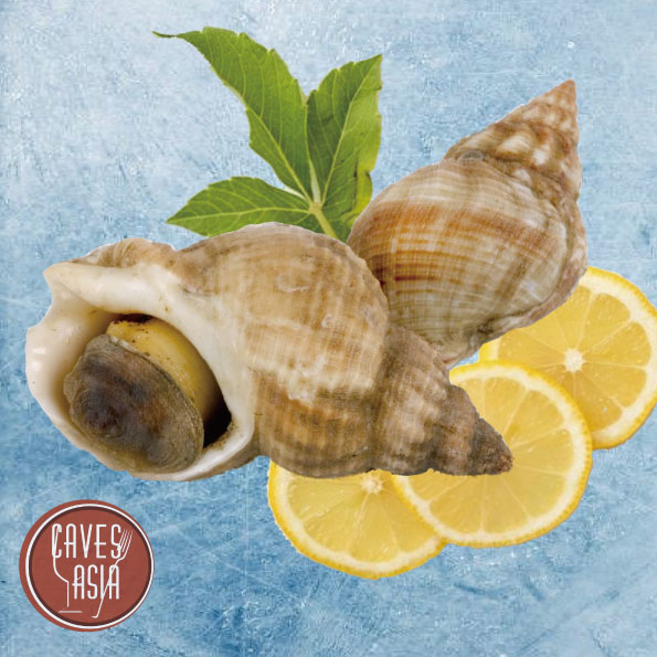 急凍翡翠螺(熟)30-50