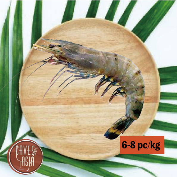 原隻虎蝦6-8
