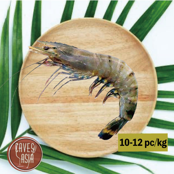 原隻虎蝦10-12