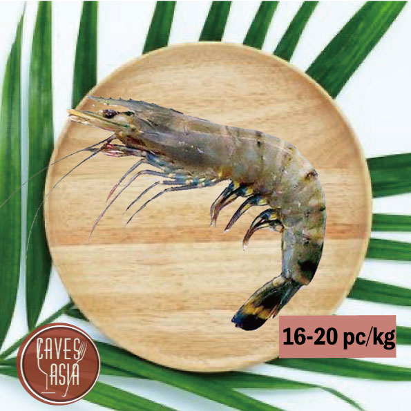 原隻虎蝦16-20
