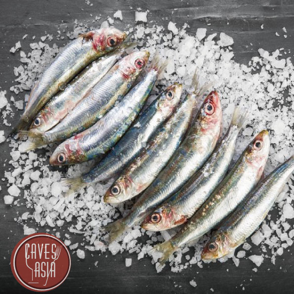 白飯魚