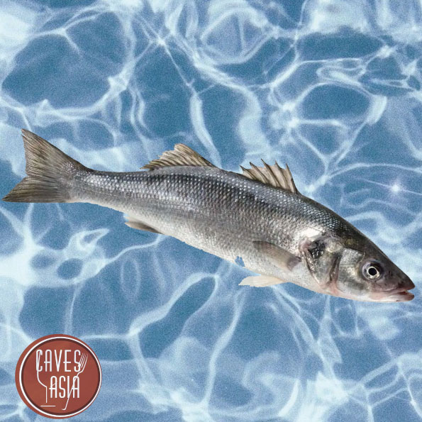 鱸魚